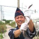홍삼민물장어