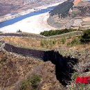 삼국사기 이미지