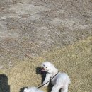 가장 아름답개 이미지