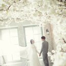 모노스튜디오 이미지