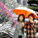 오늘의 영상 칼럼(3월/4일) 이미지