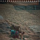 월명실내수영장 이미지