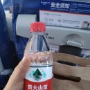 산동숲유치원 | 중국 청도에는 이따~~~~만한 이것이 있다! (청도여행후기)