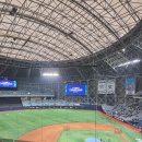 프로야구 국가대표 경기 야구 갤러리 직관 후기