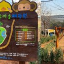 매봉산 유아숲체험원 이미지