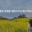 소갈비왔소 이미지