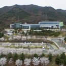 대구랑만