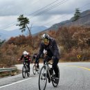 금가중앙2길 이미지