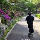 바르게보기 | 성인도 가능한 킥보드 마이크로 신상 초등학생 가족 두발 킥보드 안전하고 바르게!