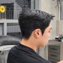 헤어디프(DIFF) 이미지
