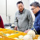 춘천원예농협 산지유통센터 이미지