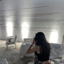 세진인쇄소 | 🌕09🌕