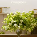 플라워담다