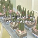 그림책과 함께하는 인성 수업 | 인성그림책과 함께하는 원예수업｜그림책원예 단체수업