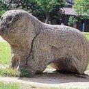 수지면 고정마을 이미지