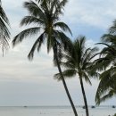 모닝비치 이미지