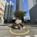 지장고공인중개사사무소 | 제목: 부산진구 경남아파트 1층 급급매 계약 후기 (feat. 보일러 하자담보책임, 어디까지일까?)