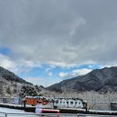 우다다애견 이미지