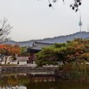 서울의 단풍이 물드는 남산과 국립현충원 낙엽길을 걸어보며~~~ 이미지