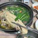 종가집토종닭 | 태안 현지인 맛집 태안 '종가집' 당일 도축 신선한 토종닭 백숙 후기 (fear. 26년 운영중, 직접 키운...