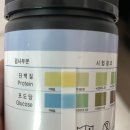 임신 36주 기록 (동탄제일병원 맥수술 실풀기, 분비물 증가, 단백뇨 스틱, 가정용 혈압계, 콧물냉)