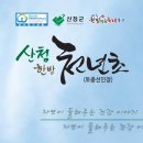 주식회사 봉황 이미지