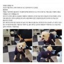 대신모텔 이미지
