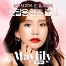 메이릴리 이미지