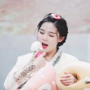 모음한복 이미지