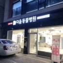 동물병원 다움 이미지