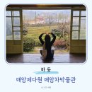 하동 가볼만한곳 녹차밭 매암제다원 포토존 매암차박물관