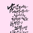 광희에세이 이미지