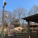 신정호수공원-1 | 아산 신정호수공원 가족 나들이 추천🌿 (5세 아이와 다녀온 솔직 후기)