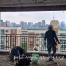 신현대인테리어 이미지