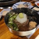 창원고기집 식감좋은 도톰한 양고기 맛집 징기스 봉곡점