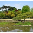 호암미술관 이미지