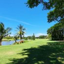 넥서스그린 이미지