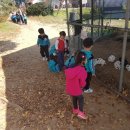 초록농장 이미지