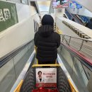 소림농장 | 2026_3 계절성 우울증이었나