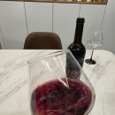 그래픽레시오 | 🇪🇸스페인 레드와인 추천 🍷 마츠 엘 레시오 2022 중년 와인 솔직 후기