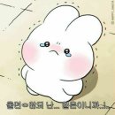 2022-주183 이미지