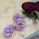 플라워 액자 만들기 | 드라이플라워 액자 만들기 후기