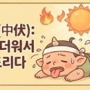 중복中伏 이미지