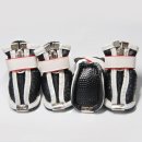 도기스쿨 이미지