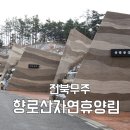 이마트24 | 무주 향로산 자연휴양림 동굴집 숙박후기