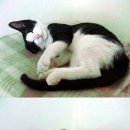 서원동-30 이미지