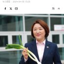 투표소에 대파들고 가도 돼요? 이미지