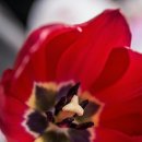 복합용도 건축물 이미지