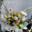 스펠로플라워