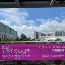 까치고을 | 20260404 수원주류박람회 🍺🍹🍶🥃 내돈내산 방문 후기